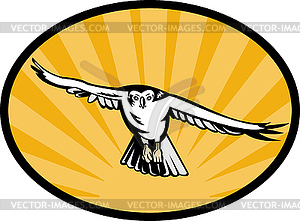 Goshawk bird swooping down - vector EPS clipart