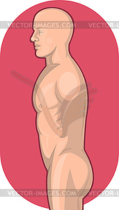 Мужской анатомии человека стоя сбоку - изображение в формате EPS