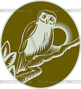 Owl perched on tree branch - vector image