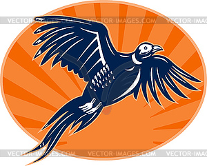 Pheasant bird flying up with sunburst - vector clip art