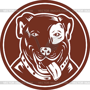 American Pit bull Terrier - vector image