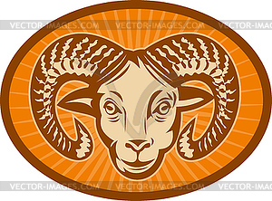 Bighorn sheep or ram - vector image