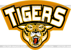 Tiger sports mascot head front - vector clip art