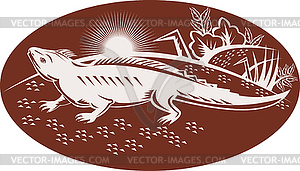 New Zealand tuatara - vector clipart