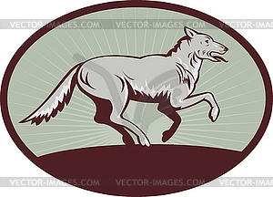 Gray wolf running - vector image