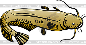 Catfish jumping - vector clipart