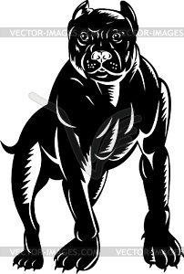 Pitbull dog - white & black vector clipart