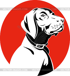 Golden labrador retriever dog head - vector clip art
