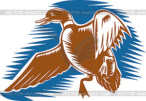 Duck flying done in woodcut style - vector image