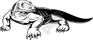 Komodo dragon - vector clipart