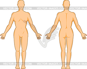 Male human anatomy standing - stock vector clipart