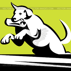 Retriever dog in training jumping over an obstacle - vector clipart