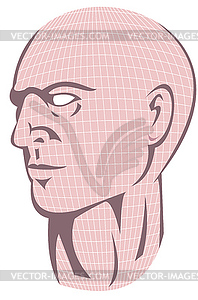 Male Human Head With Grid - vector clipart