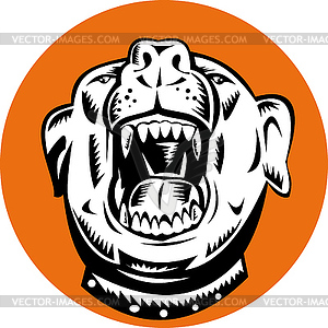 Angry Mongrel Dog - vector image