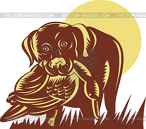 Trained gun dog retrieving duck - vector clip art