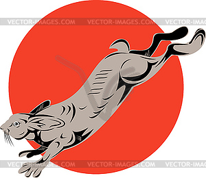 Jack Rabbit Jumping - изображение в векторном формате