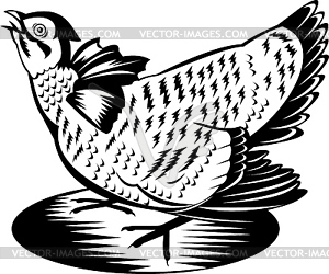 Prairie Chicken Hen Retro - vector image