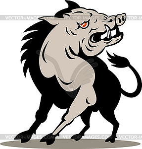 Wild pig boar attacking - vector image