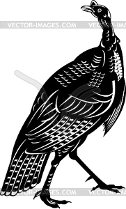 Wild turkey done in retro style - vector image