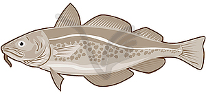 Atlantic Codfish Retro - vector image