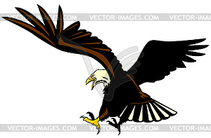 Белоголовый орлан Летающий - изображение в векторе / векторный клипарт
