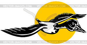 Mallard Duck Goose Flying - vector clipart