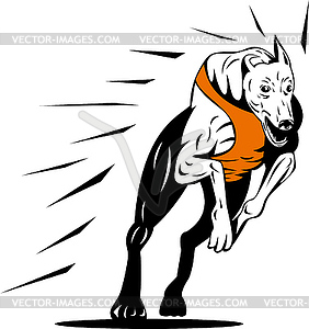Борзая собака гонки ретро - векторизованное изображение клипарта