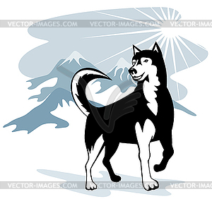 Husky Wild Dog Wolf Retro - vector clipart