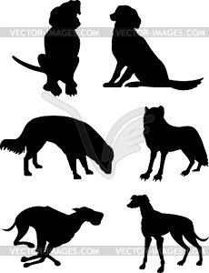 Canine Silhouettes - royalty-free vector image