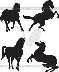 Horse Silhouettes - vector clipart / vector image