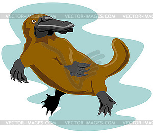 Platypus Вид спереди - иллюстрация в векторном формате