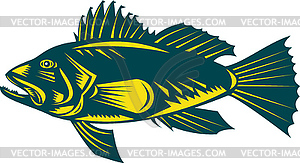 Black sea bass side view - vector image