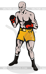 Boxer posing - vector clipart