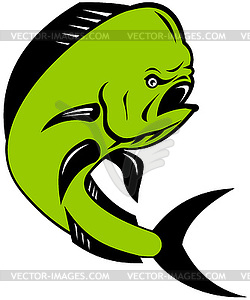 Dorado dolphin fish mahi-mahi jumping - vector clip art