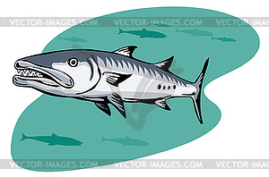 Barracuda Retro - vector image