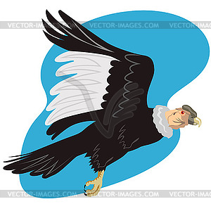 Condor in Flight - vector image