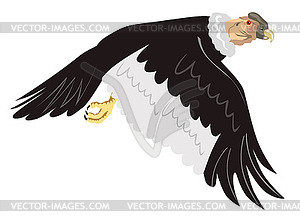 Condor in Flight - vector clipart