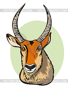 Defassa Waterbuck - vector image