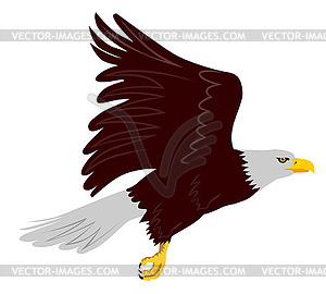 T-shirt design with flying bald eagle Royalty Free Vector