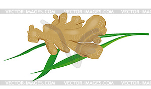 Leaf Ginger Retro - vector clipart