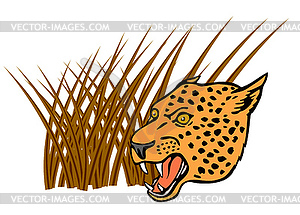 Leopard Head - vector image