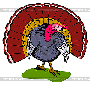 Wild Turkey Retro - vector image