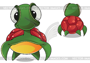 Tortoise - vector clipart