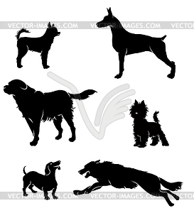 S silhouettes of dogs - vector clip art