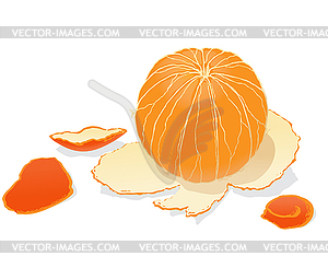 Очищенный апельсин - рисунок в векторе