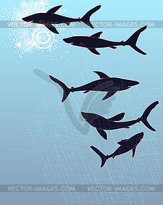 Template poster design with hand-drawn sharks - vector clip art