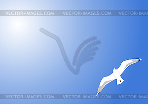 Seagull in blue sky - vector clipart