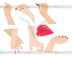 Set of body parts - vector clipart