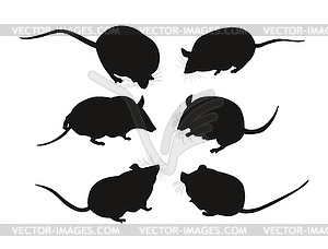 Black silhouettes of mice - vector clipart