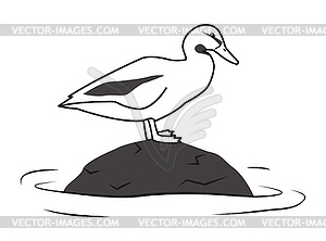 Duck sitting on stone - vector image